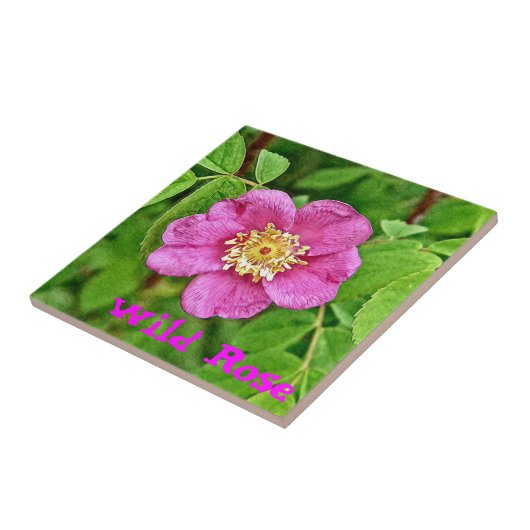 ワンワイルドバラ タイル (側面)