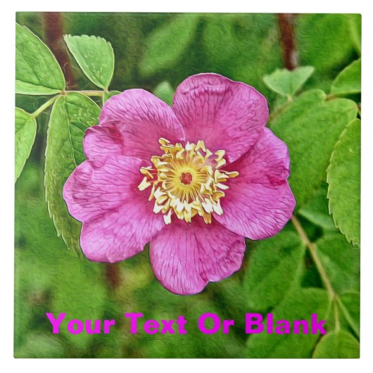 ワンワイルドバラ タイル (正面)