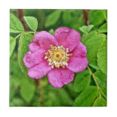 ワンワイルドバラ タイル (正面)