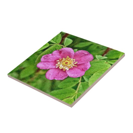 ワンワイルドバラ タイル (側面)