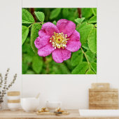 ワンワイルドバラ ポスター (キッチン)