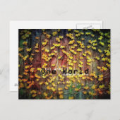 ワンワールド! ポストカード (正面/裏面)