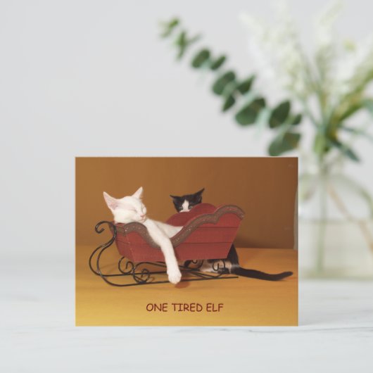 ワン疲れた小妖精や小人ユーモアのクリスマスポストカード シーズンポストカード (スタンド正面)