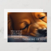 ワン考えコ聖なる書物、 経典 ポストカード (正面/裏面)