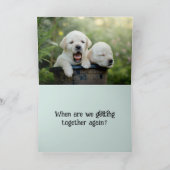 ワン考えピー退屈 カード (内部)