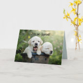 ワン考えピー退屈 カード (黄色い花)