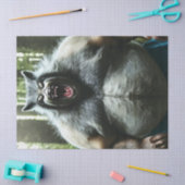 ワーウルフー食べ誰村ティッシュペーパー 薄葉紙 (クラフト)