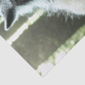 ワーウルフー食べ誰村ティッシュペーパー 薄葉紙 (詳細)