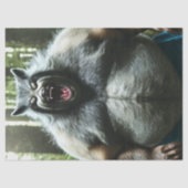 ワーウルフー食べ誰村ティッシュペーパー 薄葉紙 (正面)