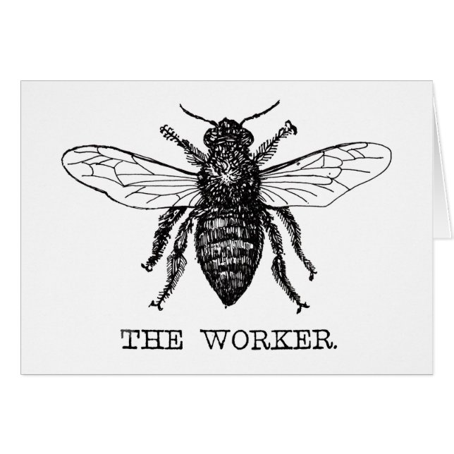 ワーカービー白黒（昆虫）マルハナバチヴィンテージ (正面横)