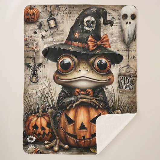 ワーツ疑問に思& シェルパブランケット (正面)