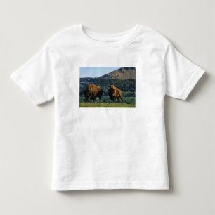 ワーテルトン・レイクス国立公園のアメリカバイソン雄 トドラーTシャツ