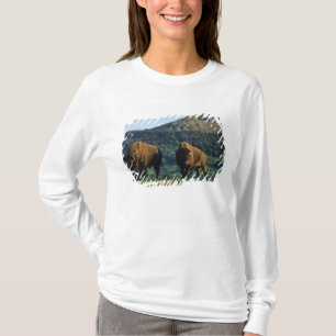 ワーテルトン・レイクス国立公園のアメリカバイソン雄 Tシャツ