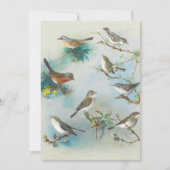 ワーブラーとレンス (正面)