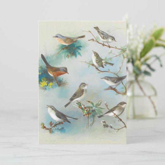 ワーブラーとレンス (スタンド正面)