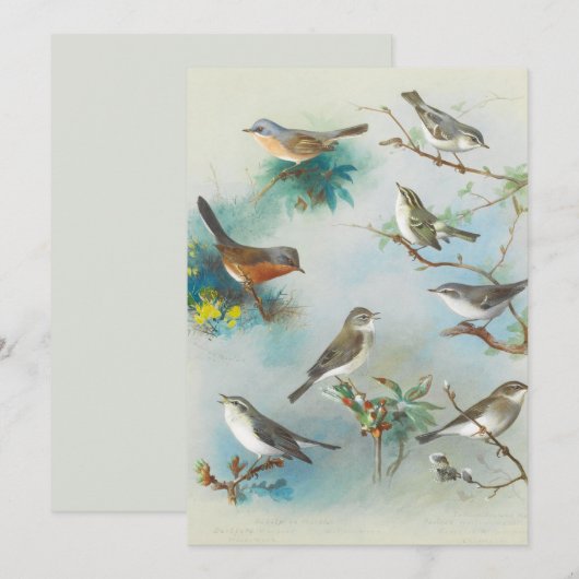 ワーブラーとレンス (正面/裏面)