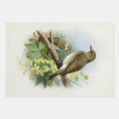 ワーブラーとレンス ラッピングペーパーシート (正面2)