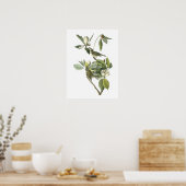 ワーブリングヴィレオバイオードボン ポスター (キッチン)