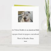 ワープディードゥー カード (裏面)