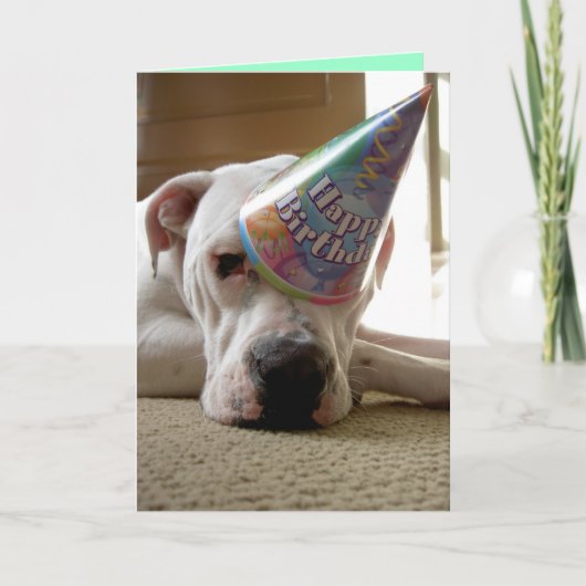 ワープディードゥー カード (正面)