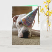 ワープディードゥー カード (黄色い花)