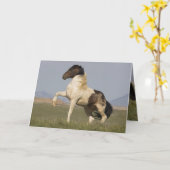 ワーボンズの挑戦ワイルドホースのグリーティングカード カード (黄色い花)