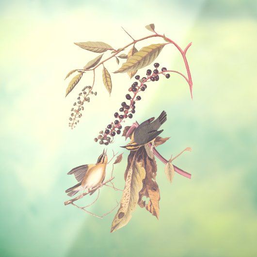 ワーム食べのウォーブラーオードボンソングバード ウィンドウサイン (シート3)