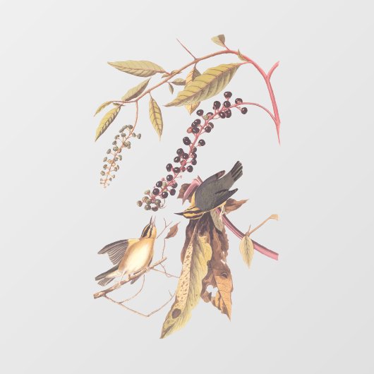 ワーム食べのウォーブラーオードボンソングバード ウィンドウサイン (シート)