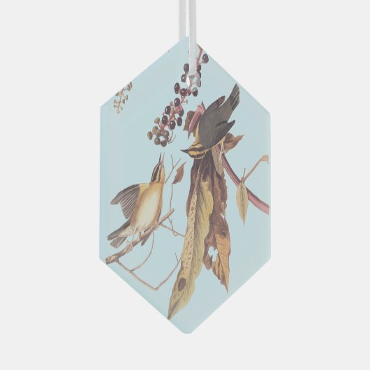 ワーム食べのウォーブラーオードボンソングバード ガラスオーナメント (正面右)