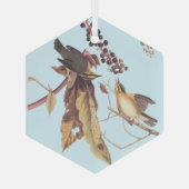 ワーム食べのウォーブラーオードボンソングバード ガラスオーナメント (裏面)