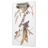 ワーム食べのウォーブラーオードボンソングバード クリップボード (左)