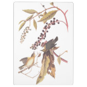 ワーム食べのウォーブラーオードボンソングバード クリップボード (裏面)