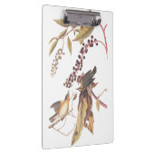 ワーム食べのウォーブラーオードボンソングバード クリップボード (右)