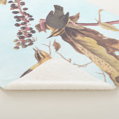 ワーム食べのウォーブラーオードボンソングバード シェルパブランケット (3/4)