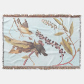 ワーム食べのウォーブラーオードボンソングバード スローブランケット (正面)