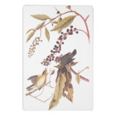 ワーム食べのウォーブラーオードボンソングバード ミニクリップボード (裏面)