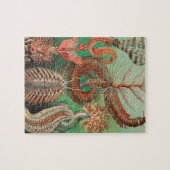 ワーム、アニリッドChetopoda by Ernst Haeckel ジグソーパズル (横)