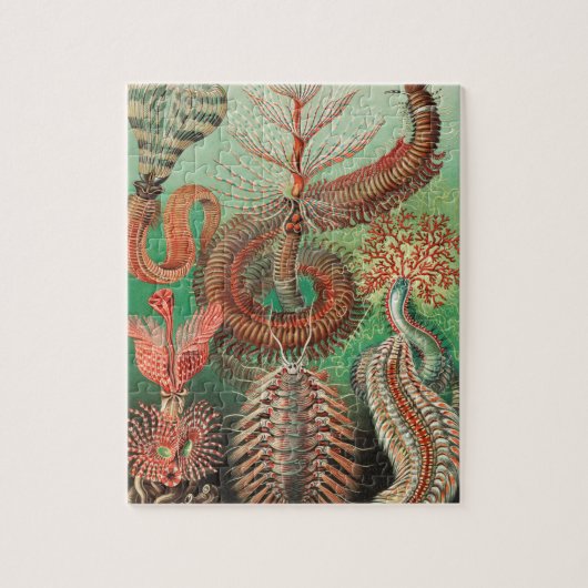 ワーム、アニリッドChetopoda by Ernst Haeckel ジグソーパズル (縦)