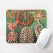 ワーム、アニリッドChetopoda by Ernst Haeckel マウスパッド (マウス)