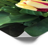 ワールドエクスプレッションチューリップ（オレゴン） ポスター (角)