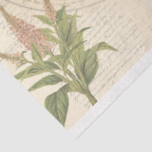 ワールドエフェメラデクページティッシュペーパー 薄葉紙 (詳細)