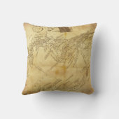 ワールドマップ装飾用クッション クッション (裏面)