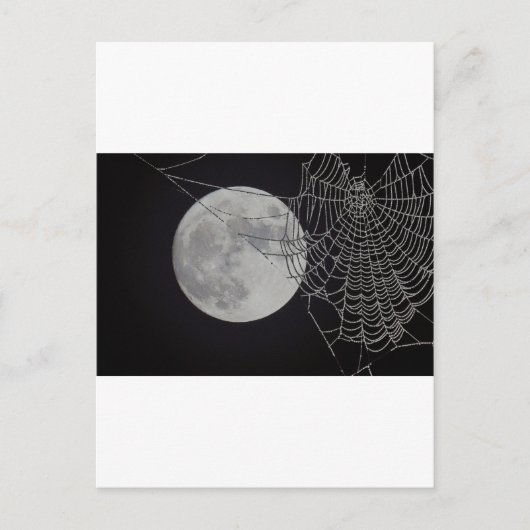 ワールドワイドくもの巣 ポストカード (正面)
