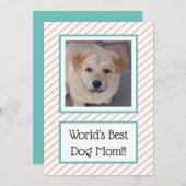 ワールド最高のズドッグマママコーラルストライプの (正面/裏面)