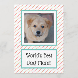 ワールド最高のズドッグマママコーラルストライプの