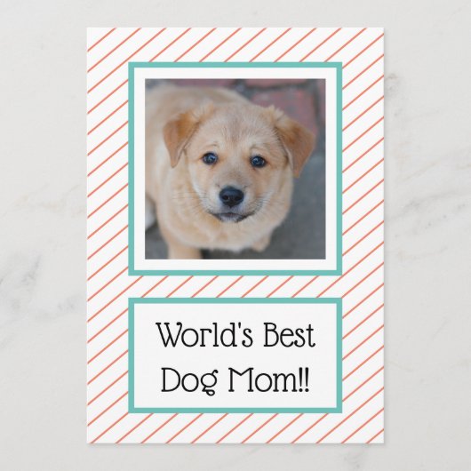 ワールド最高のズドッグマママコーラルストライプの (正面)