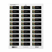 ワールドIIラベルのパロッツ ラベル (フルシート)