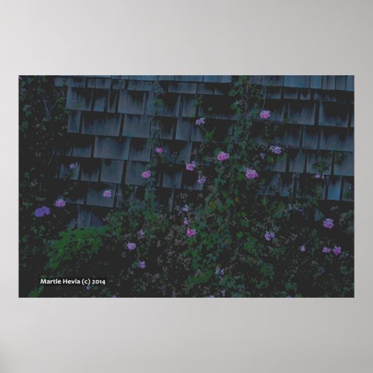 ワールフラワーズ ポスター (正面)