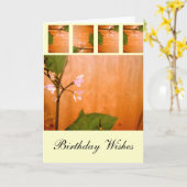 ワールフラワー カード (黄色い花)