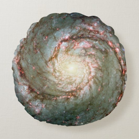 ワールプールガラクシー ラウンドクッション (正面)